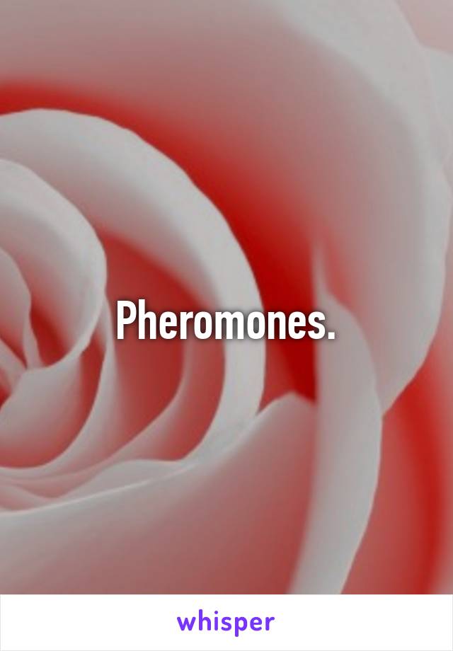 Pheromones.