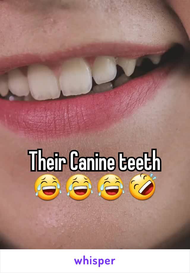 Their Canine teeth 😂😂😂🤣