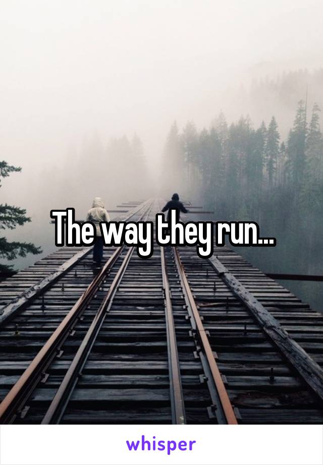 The way they run...