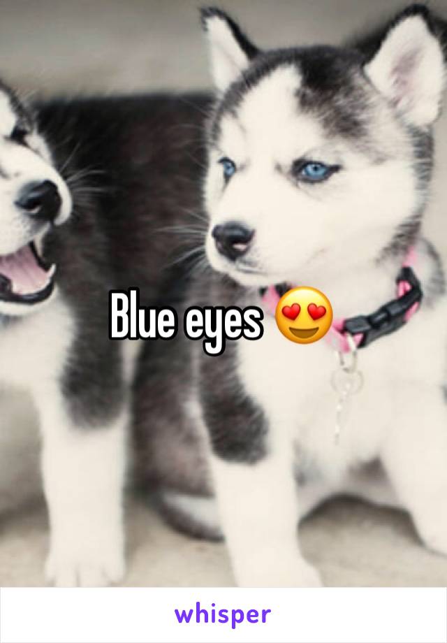 Blue eyes 😍