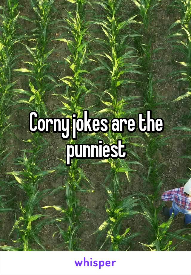 Corny jokes are the punniest