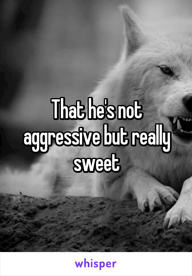 That he's not aggressive but really sweet