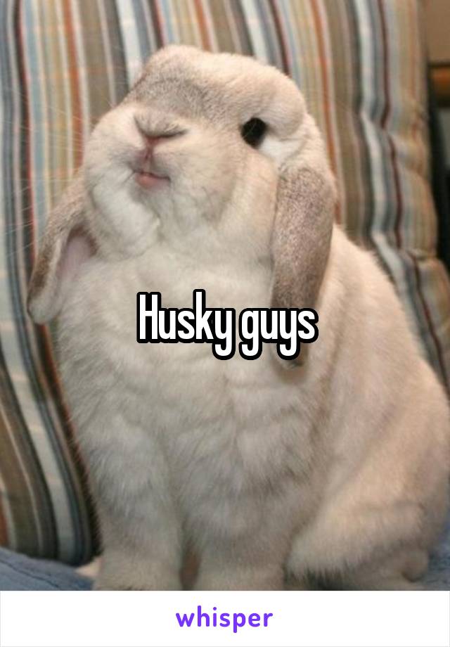 Husky guys