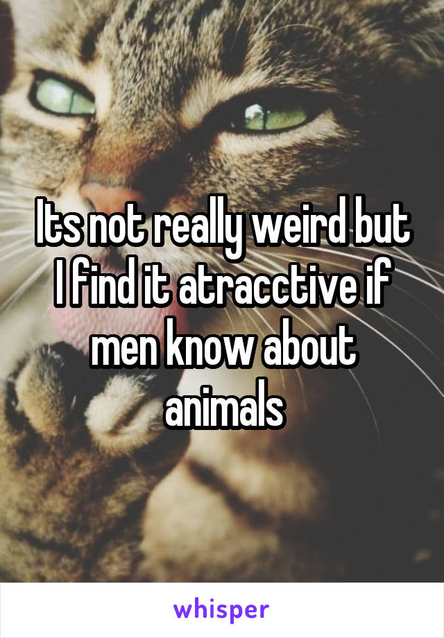 Its not really weird but I find it atracctive if men know about animals