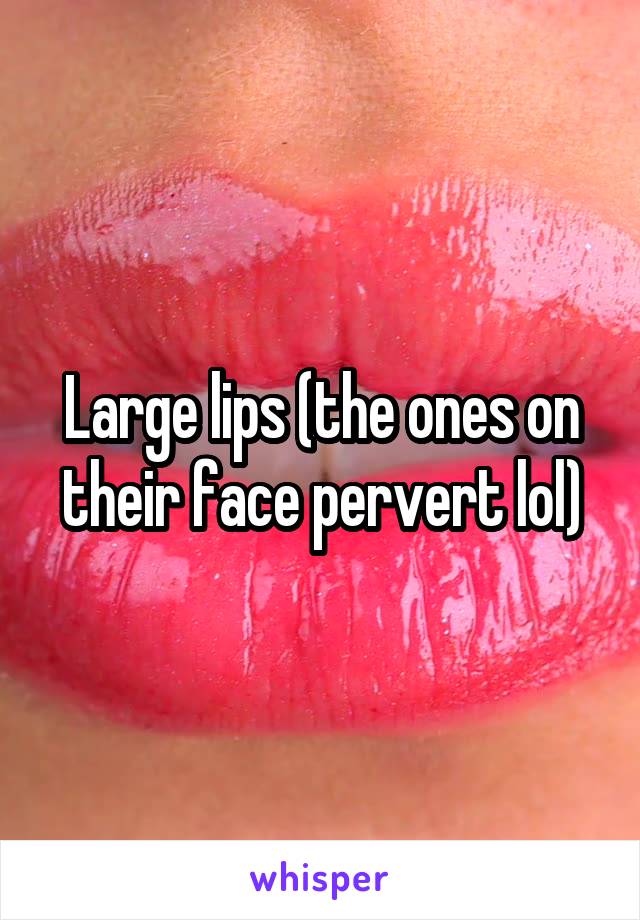 Large lips (the ones on their face pervert lol)