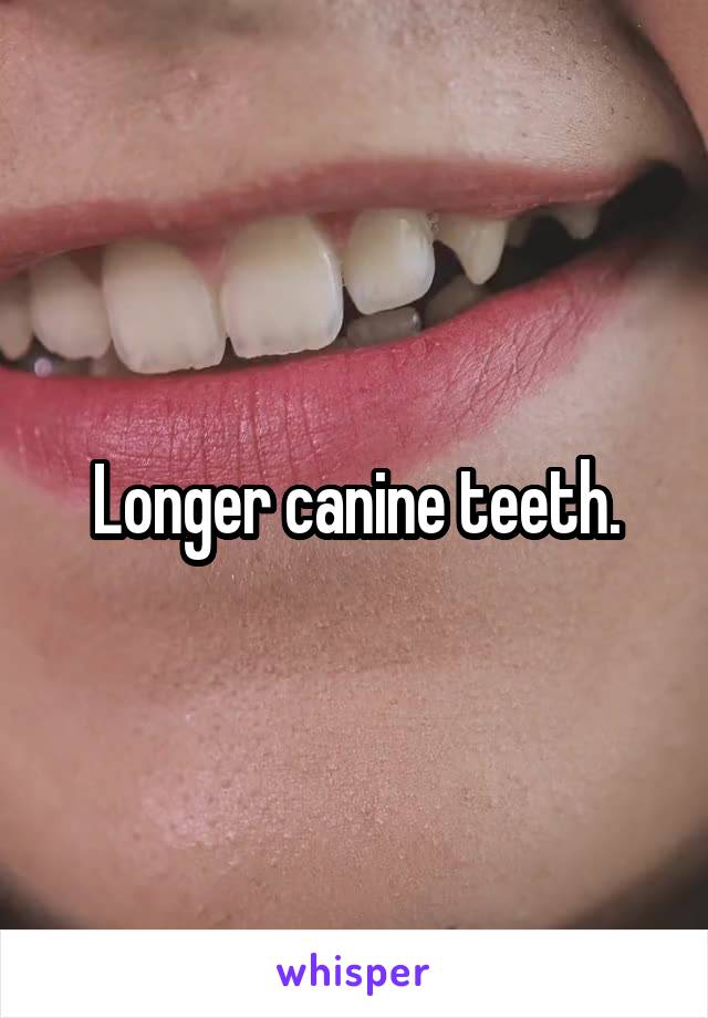 Longer canine teeth.