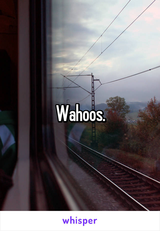 Wahoos.