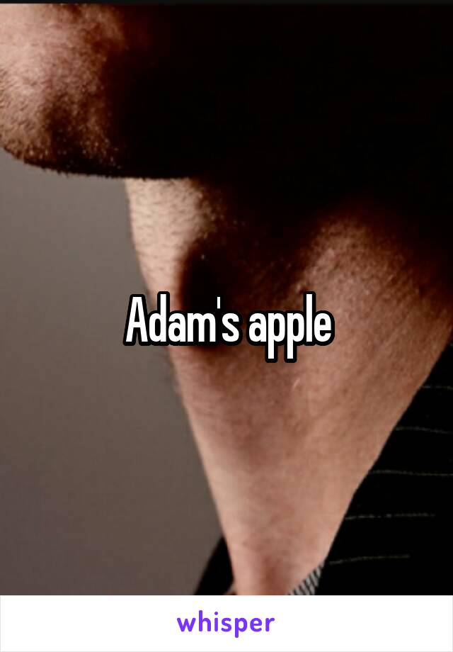 Adam's apple