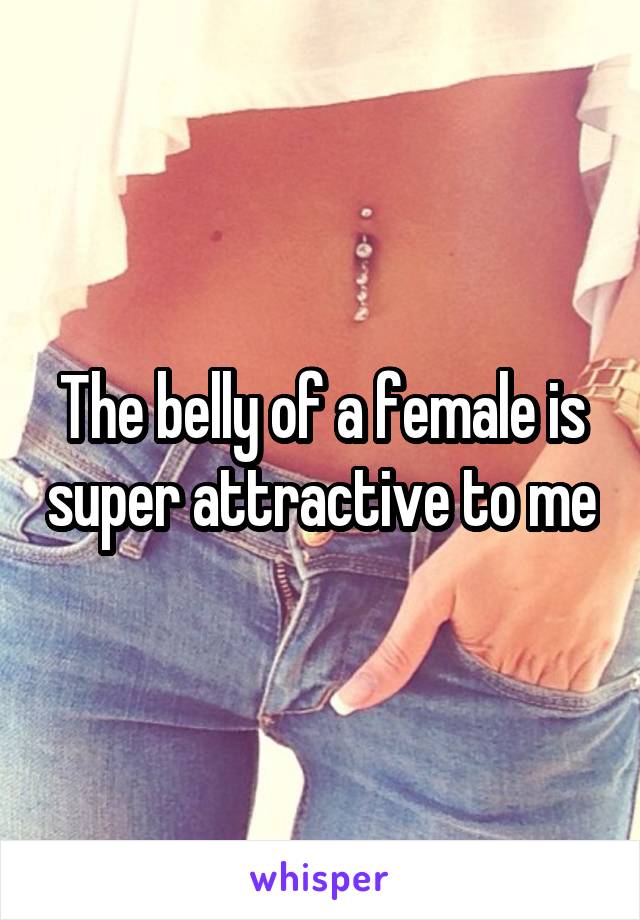 The belly of a female is super attractive to me