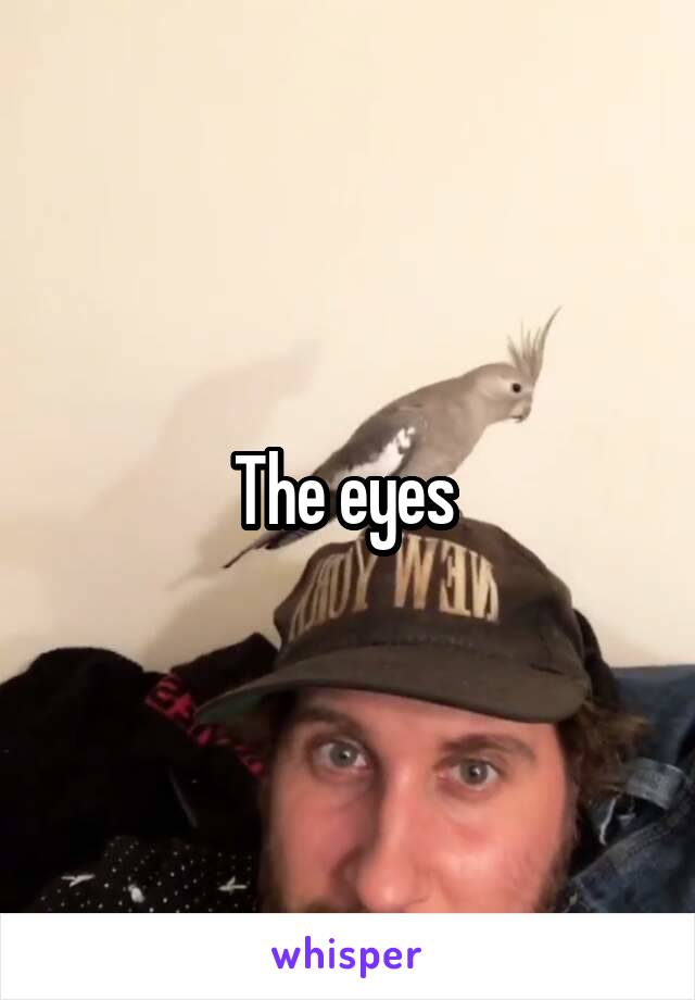 The eyes 