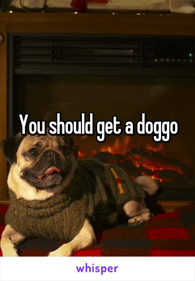 You should get a doggo
