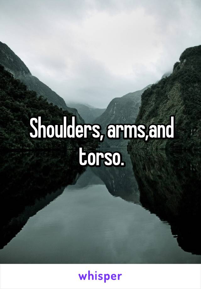 Shoulders, arms,and torso.