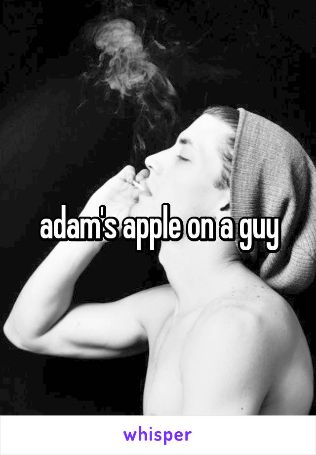 adam's apple on a guy