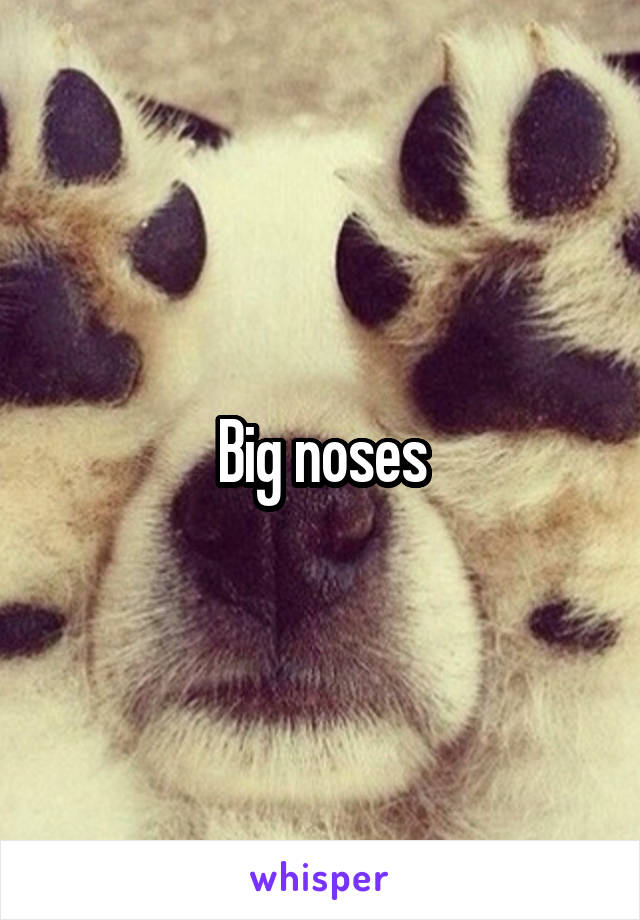 Big noses