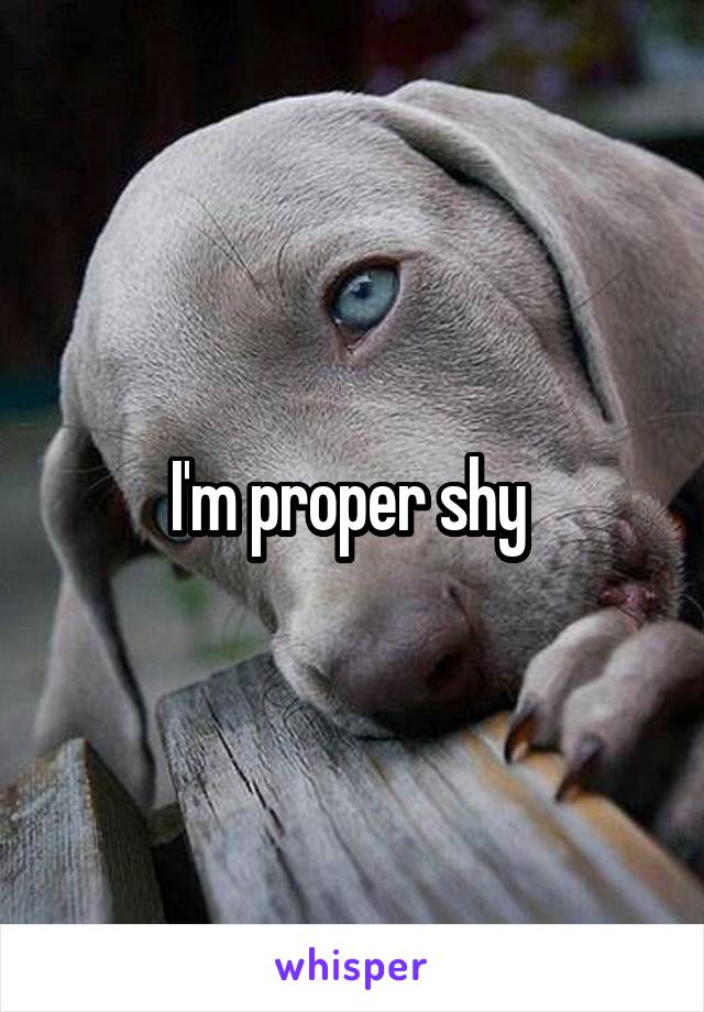 I'm proper shy 