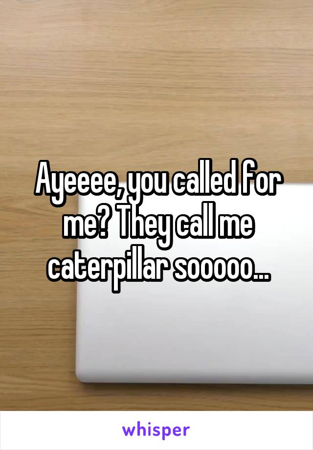 Ayeeee, you called for me? They call me caterpillar sooooo...