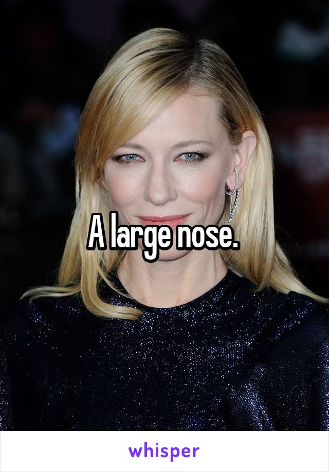 A large nose. 