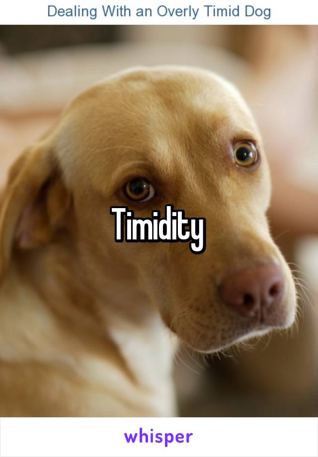 Timidity 