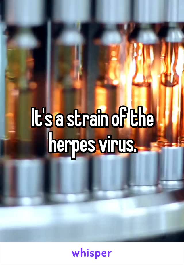 It's a strain of the herpes virus.