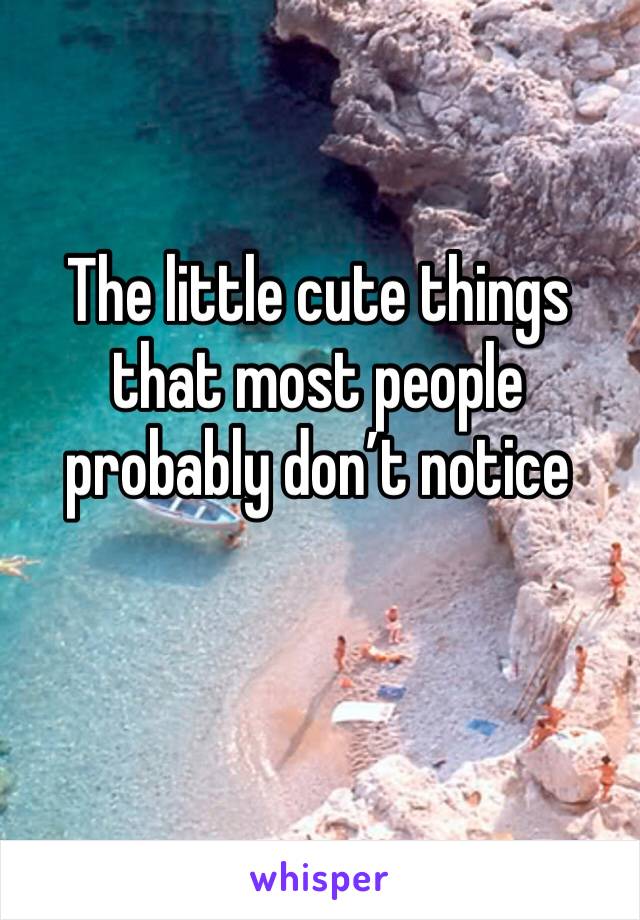 The little cute things that most people probably don’t notice 