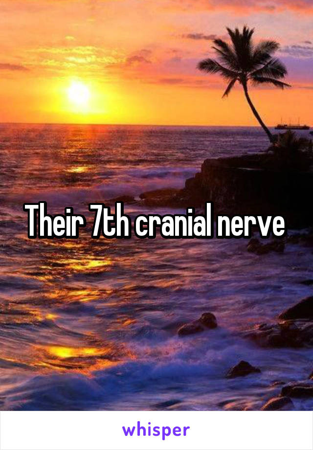 Their 7th cranial nerve 