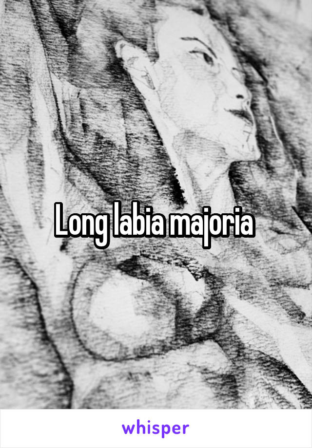 Long labia majoria 