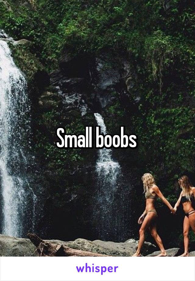 Small boobs 