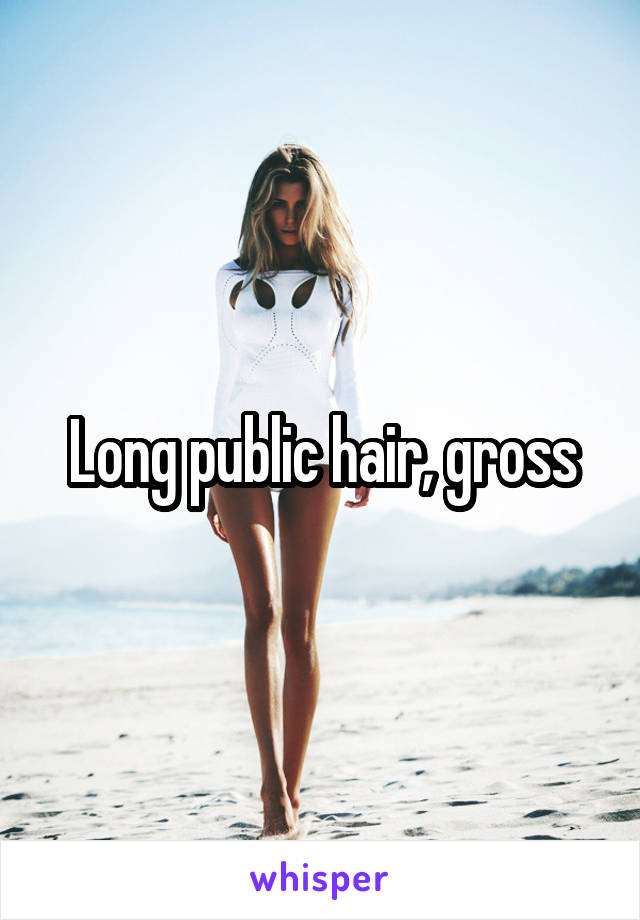 Long public hair, gross