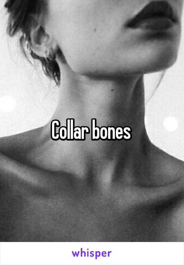 Collar bones 