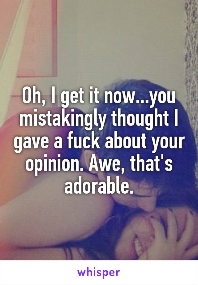 Oh, I get it now...you mistakingly thought I gave a fuck about your opinion. Awe, that's adorable.