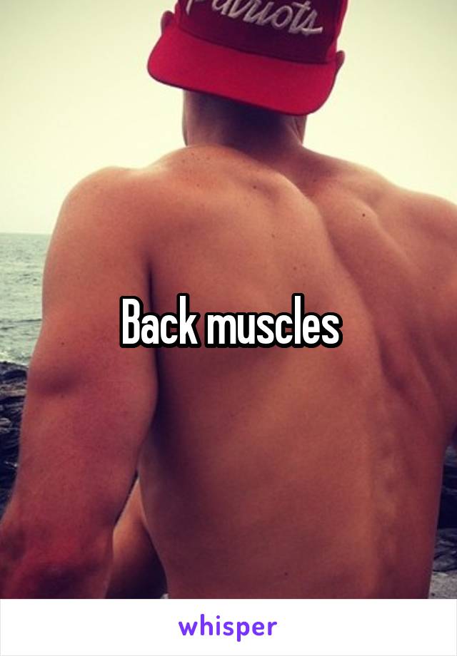 Back muscles