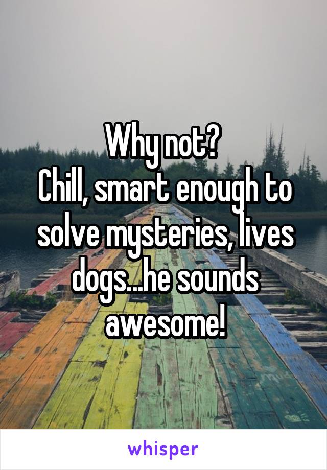 Why not? 
Chill, smart enough to solve mysteries, lives dogs...he sounds awesome!