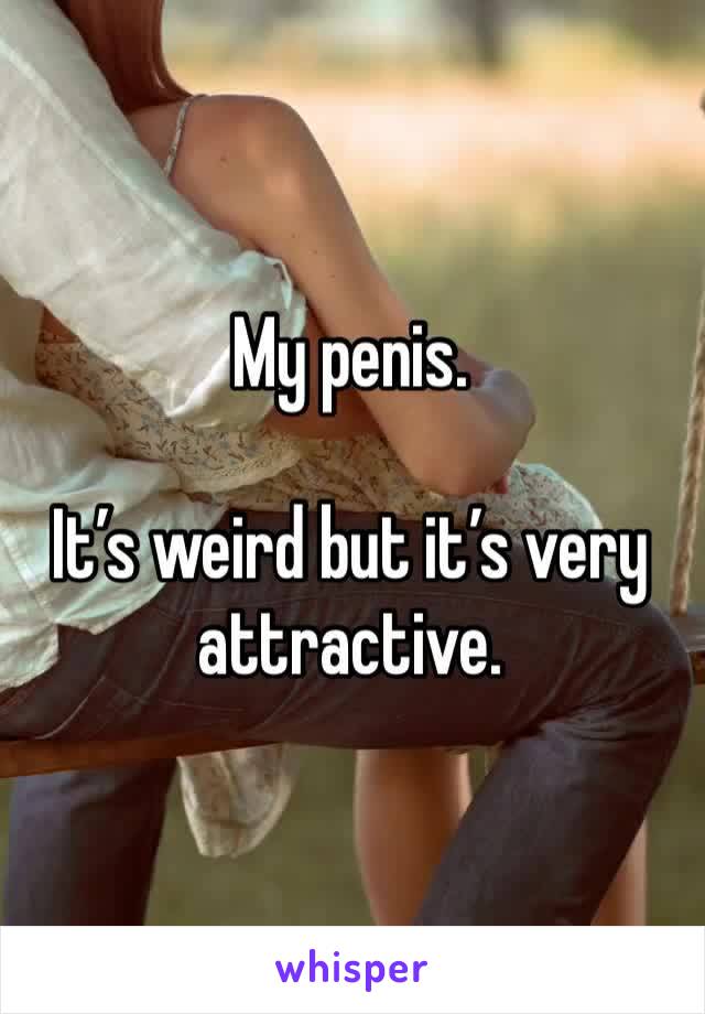 My penis.

It’s weird but it’s very attractive. 