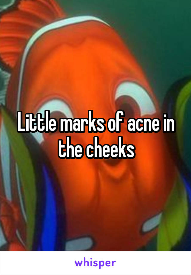 Little marks of acne in the cheeks