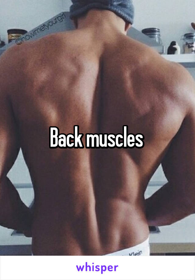 Back muscles 