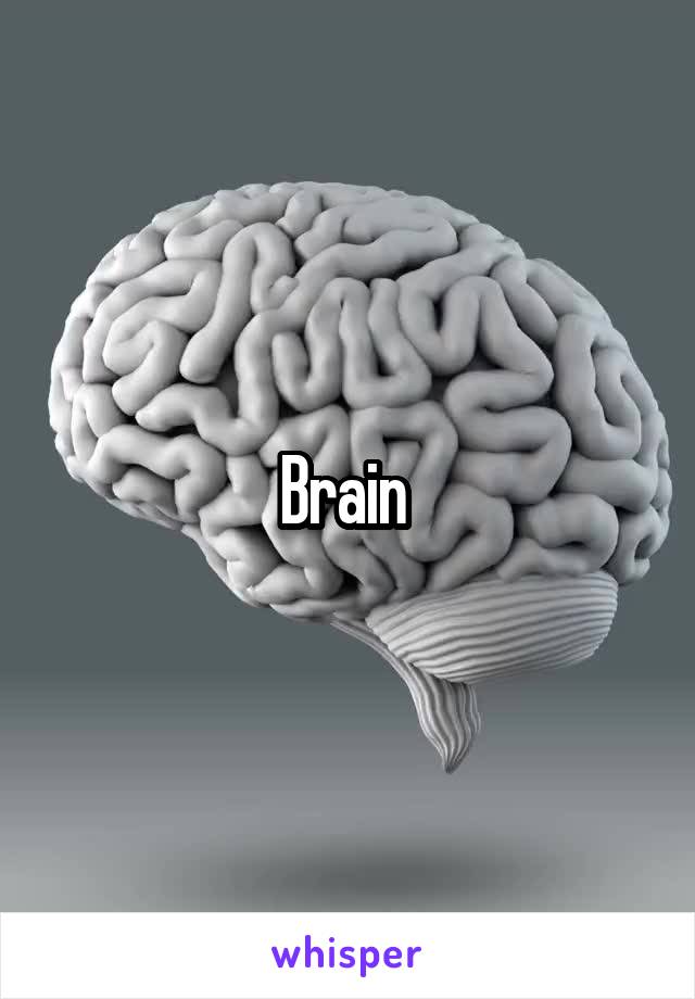 Brain 