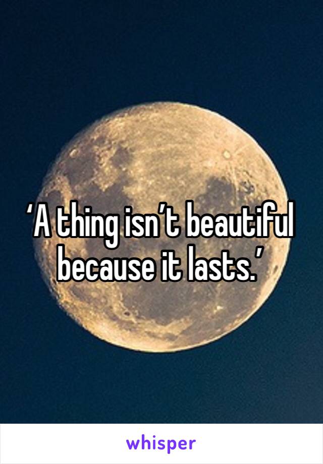 ‘A thing isn’t beautiful because it lasts.’