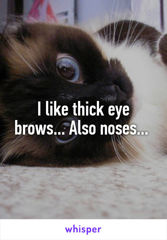 I like thick eye brows... Also noses... 