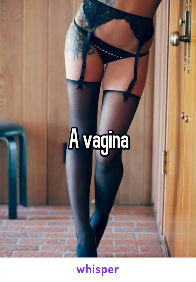 A vagina