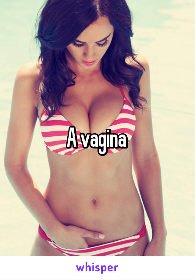 A vagina 