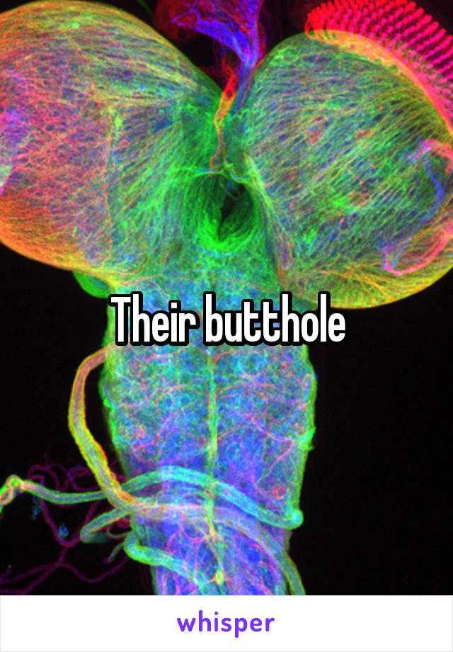 Their butthole