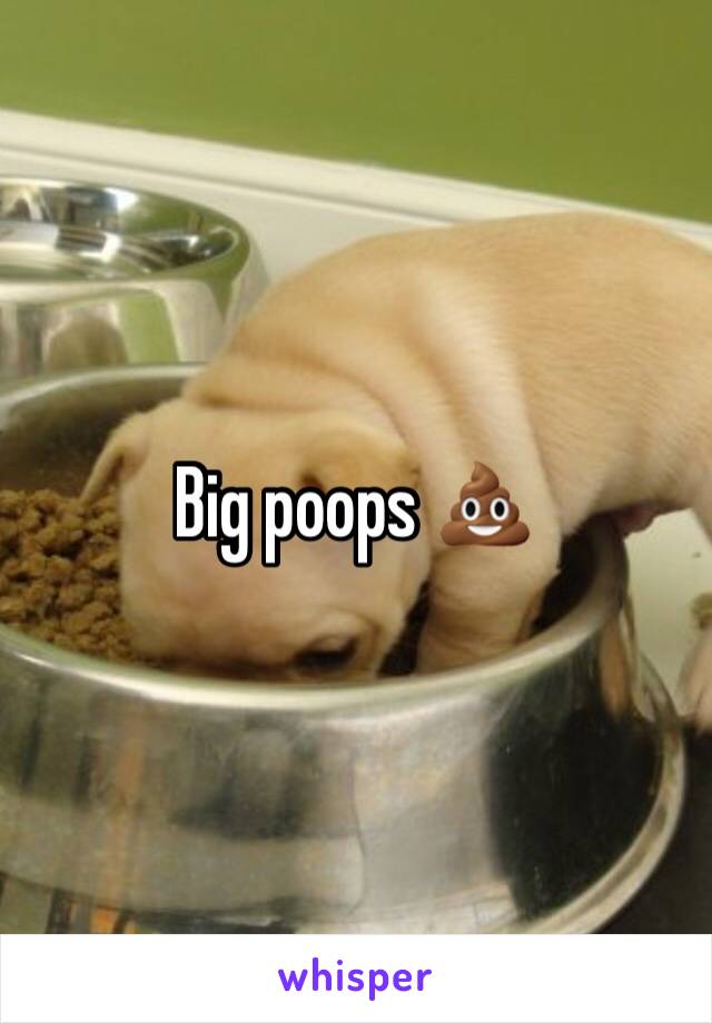 Big poops 💩 