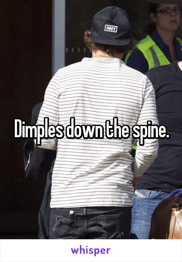 Dimples down the spine.