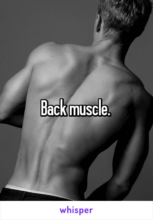 Back muscle. 