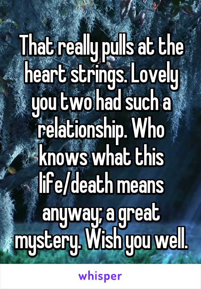 That really pulls at the heart strings. Lovely you two had such a relationship. Who knows what this life/death means anyway; a great mystery. Wish you well.