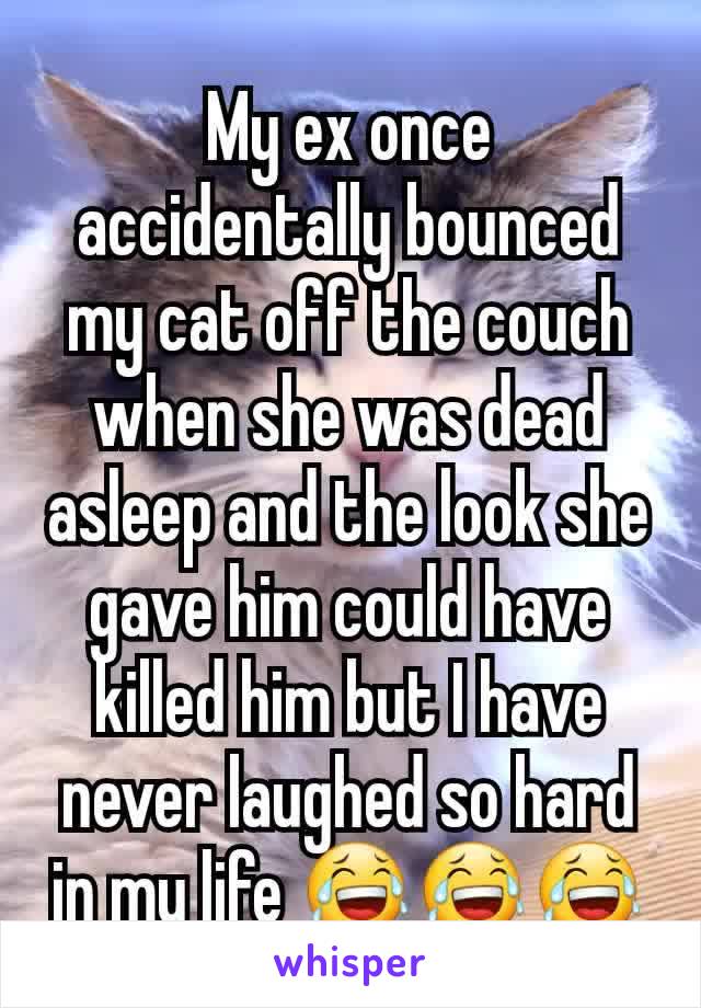 My ex once accidentally bounced my cat off the couch when she was dead asleep and the look she gave him could have killed him but I have never laughed so hard in my life 😂😂😂