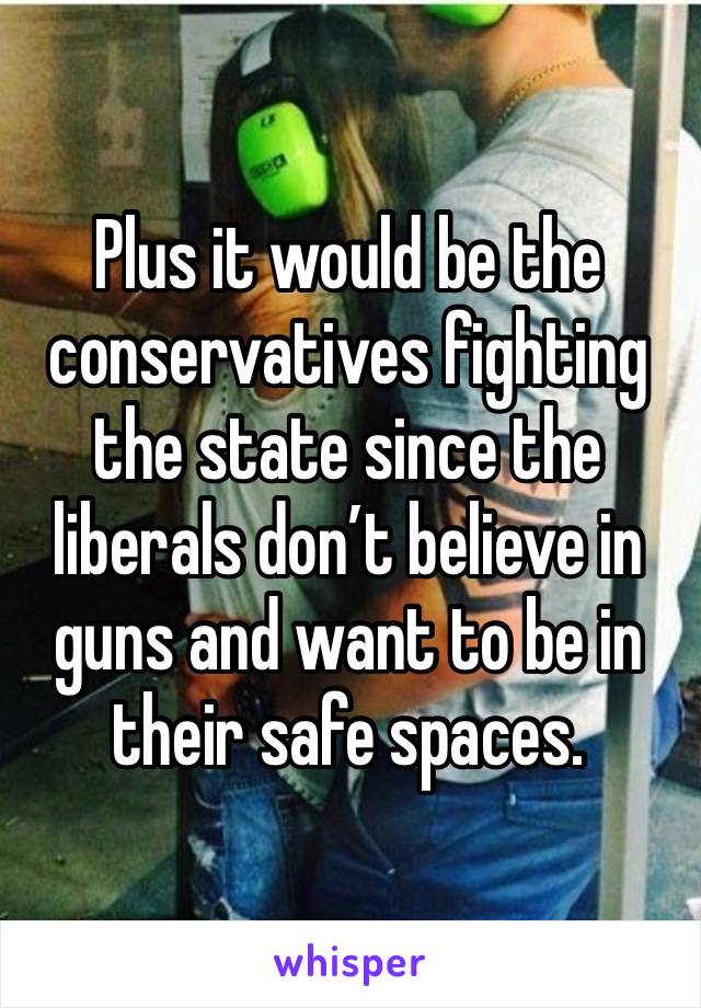 Plus it would be the conservatives fighting the state since the liberals don’t believe in guns and want to be in their safe spaces.