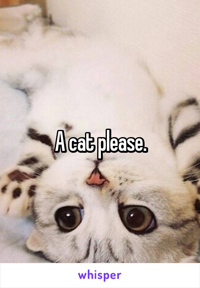 A cat please.