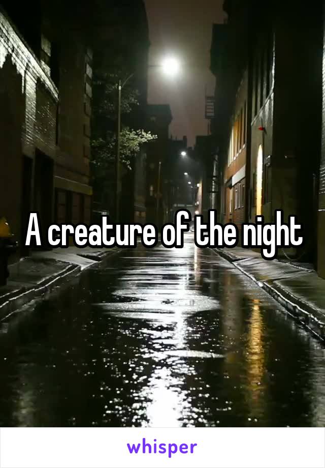 A creature of the night