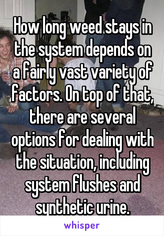 How long weed stays in the system depends on a fairly vast variety of factors. On top of that, there are several options for dealing with the situation, including system flushes and synthetic urine.